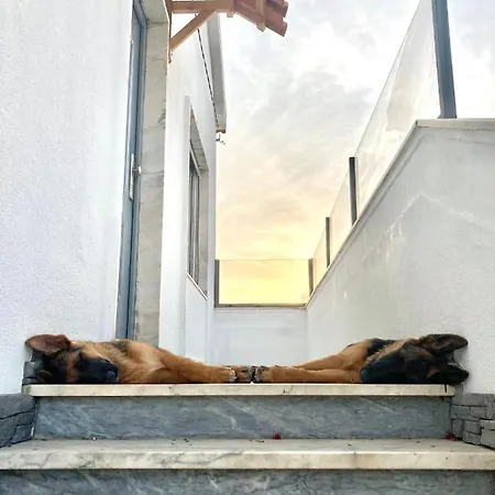 Toca Do Lobo Quarto em Acomodações Particulares Charneca (Setubal)