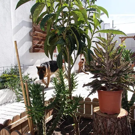 Toca Do Lobo Charneca (Setubal)